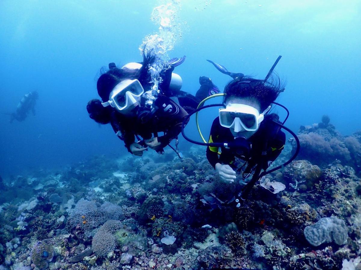 Pamanilao And Padoy'S Dive Camp Hotel Batangas Luaran gambar