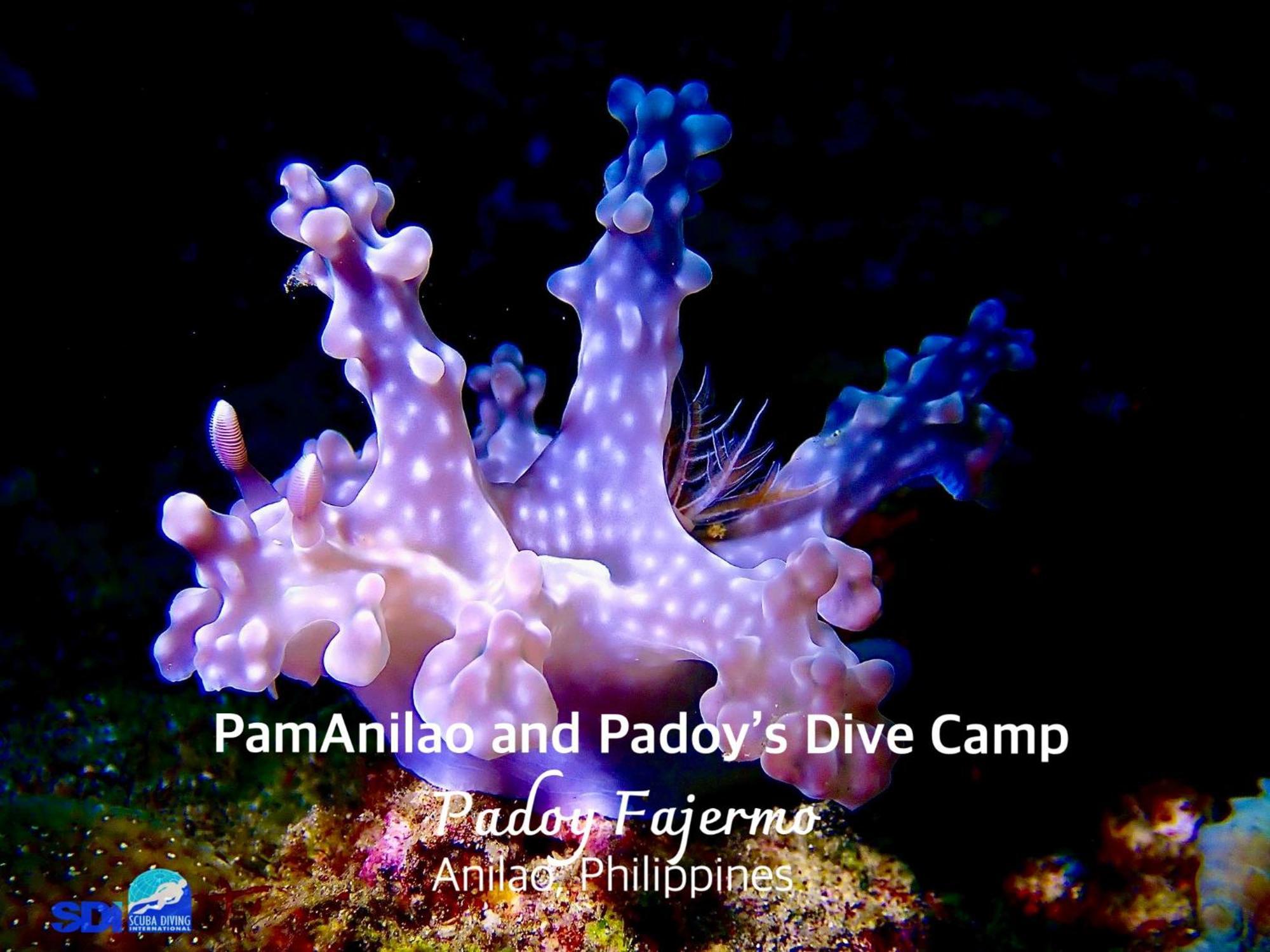 Pamanilao And Padoy'S Dive Camp Hotel Batangas Luaran gambar