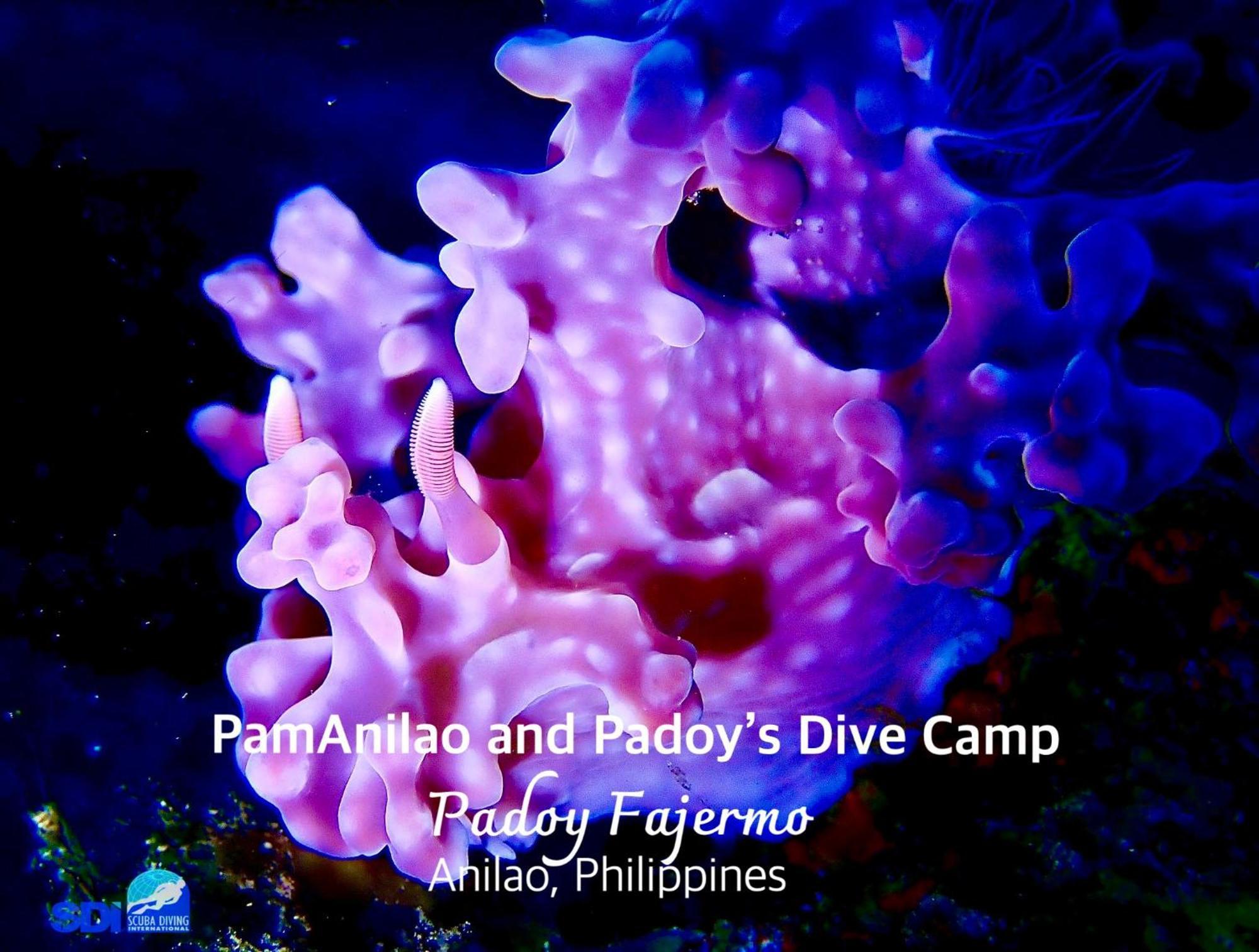 Pamanilao And Padoy'S Dive Camp Hotel Batangas Luaran gambar