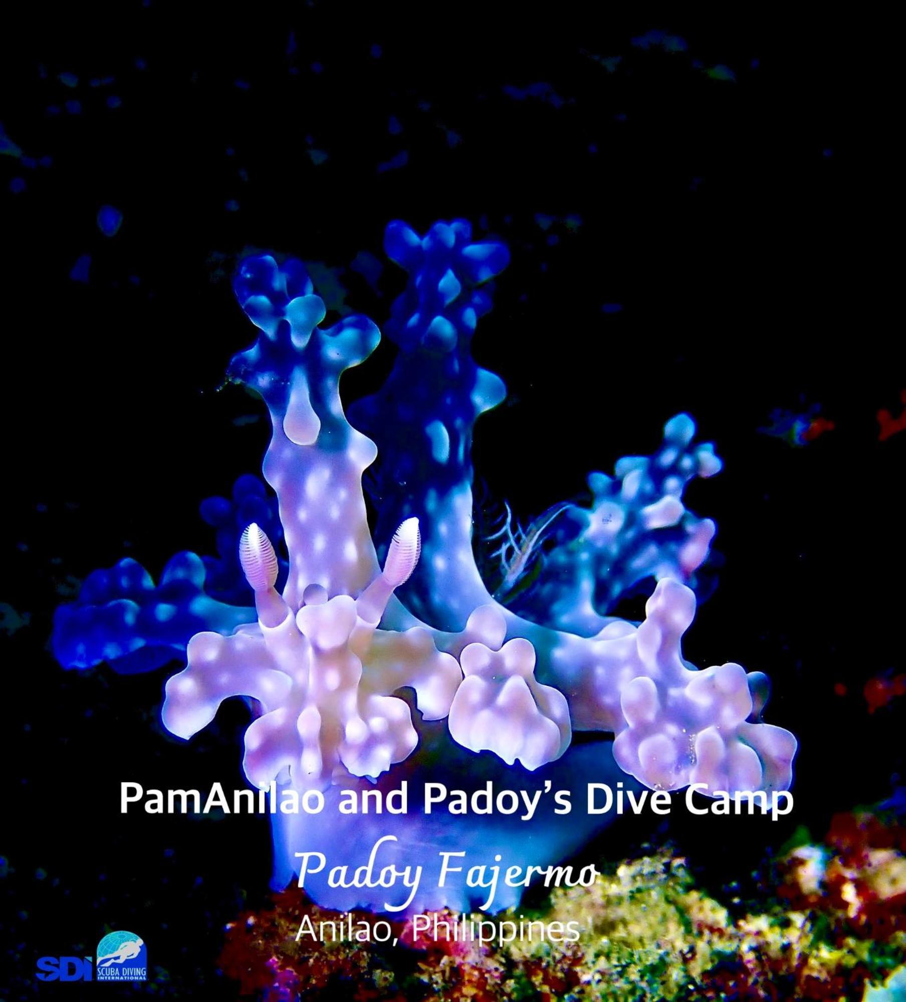 Pamanilao And Padoy'S Dive Camp Hotel Batangas Luaran gambar