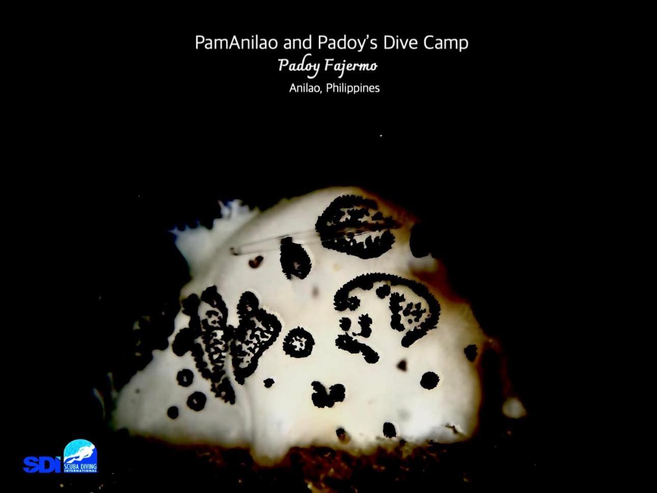 Pamanilao And Padoy'S Dive Camp Hotel Batangas Luaran gambar