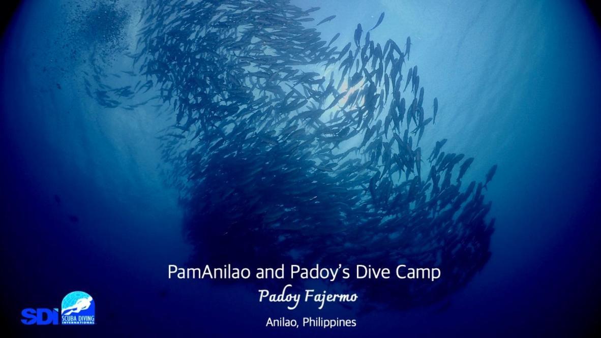 Pamanilao And Padoy'S Dive Camp Hotel Batangas Luaran gambar